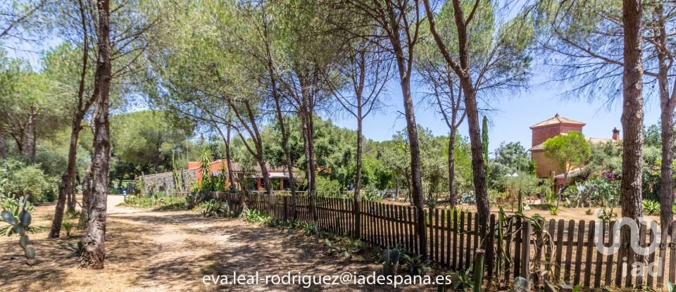 Hacienda / Cortijo 8 habitaciones de 296 m² en Lepe (21440)