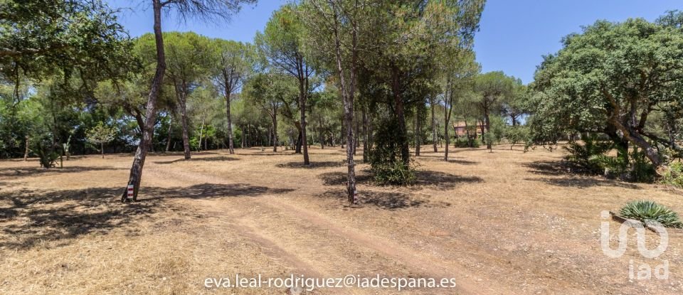 Hacienda / Cortijo 8 habitaciones de 296 m² en Lepe (21440)