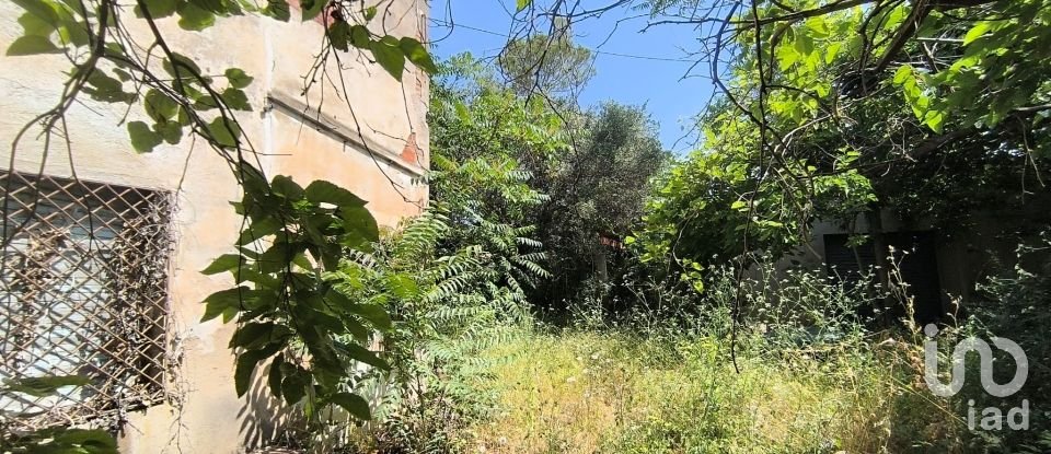 Terreny de 9.698 m² a Reus (43206)