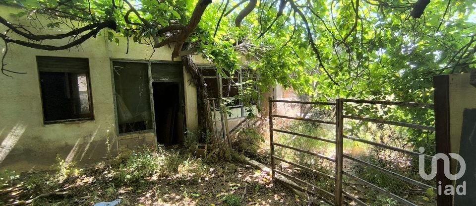 Terreny de 9.698 m² a Reus (43206)