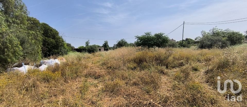 Terreny de 9.698 m² a Reus (43206)