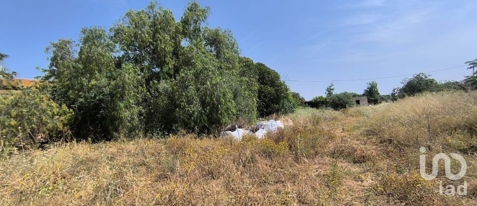 Terreny de 9.698 m² a Reus (43206)