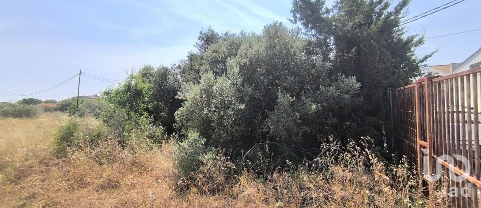 Terreny de 9.698 m² a Reus (43206)