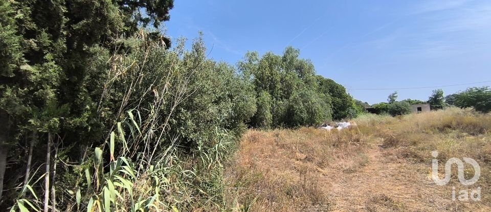 Terreny de 9.698 m² a Reus (43206)