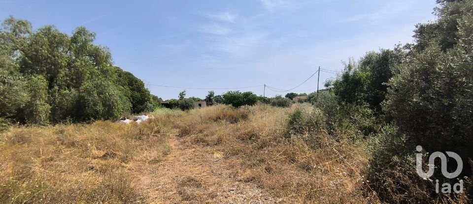 Terreny de 9.698 m² a Reus (43206)