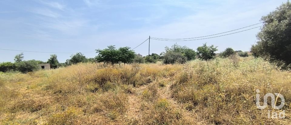 Terreny de 9.698 m² a Reus (43206)