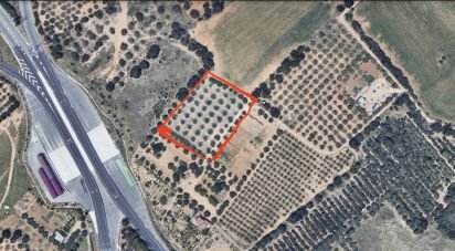 Farm land of 5,523 m² in Vila-Seca (43480)