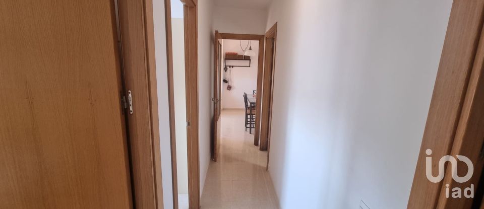 Appartement 3 chambres de 82 m² à Deltebre (43580)