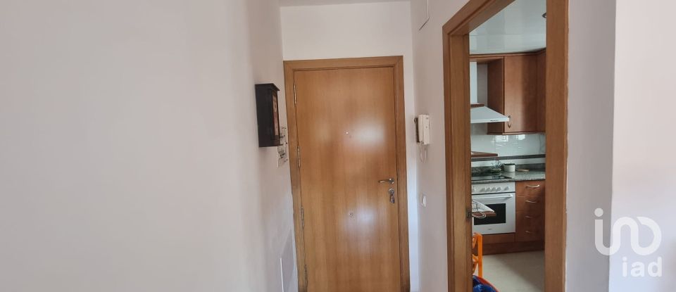 Appartement 3 chambres de 82 m² à Deltebre (43580)