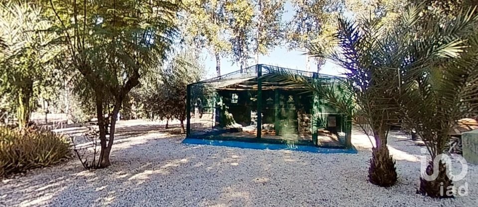 Chalet 4 habitaciones de 301 m² en Crevillent (03330)