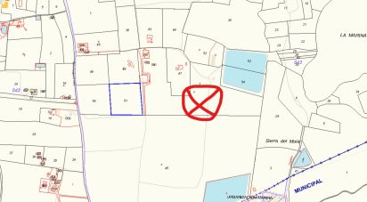 Land of 10,000 m² in Elx/Elche (03294)