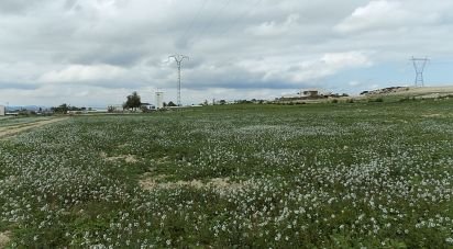 Land of 10,000 m² in Elx/Elche (03294)