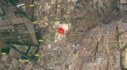 Land of 10,000 m² in Elx/Elche (03294)