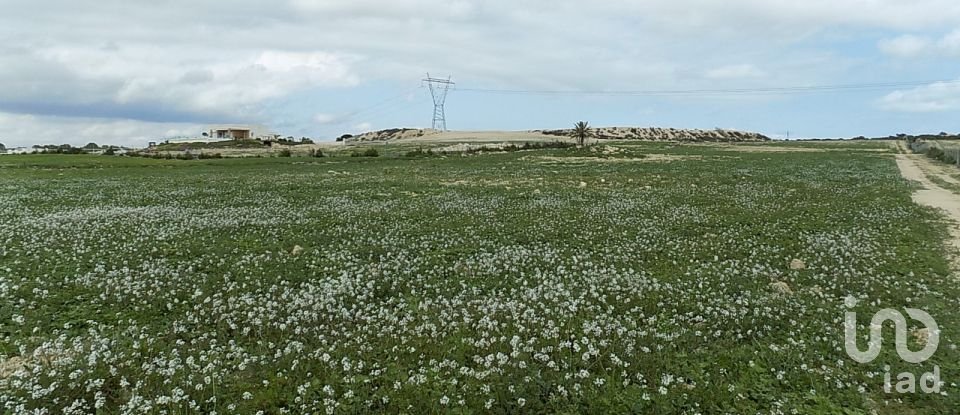 Terreny de 10.000 m² a Elx/Elche (03294)