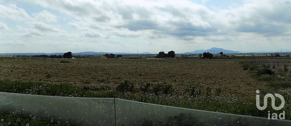 Terreny de 10.000 m² a Elx/Elche (03294)