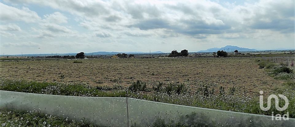 Terreny de 10.000 m² a Elx/Elche (03294)