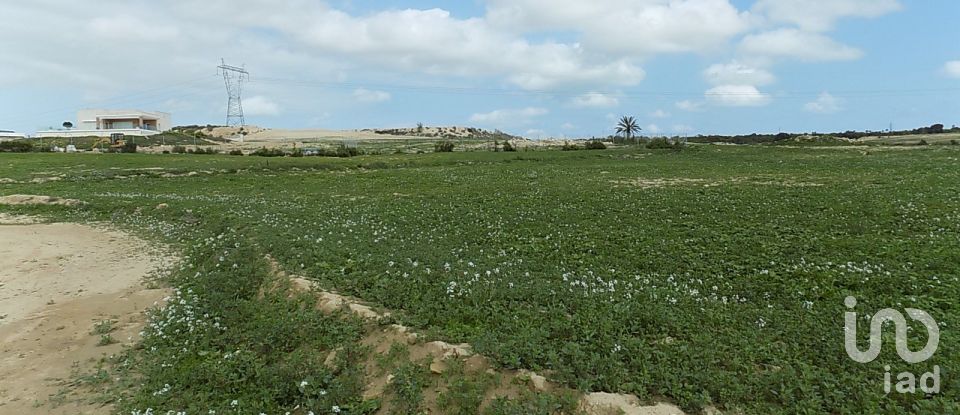 Terreny de 10.000 m² a Elx/Elche (03294)