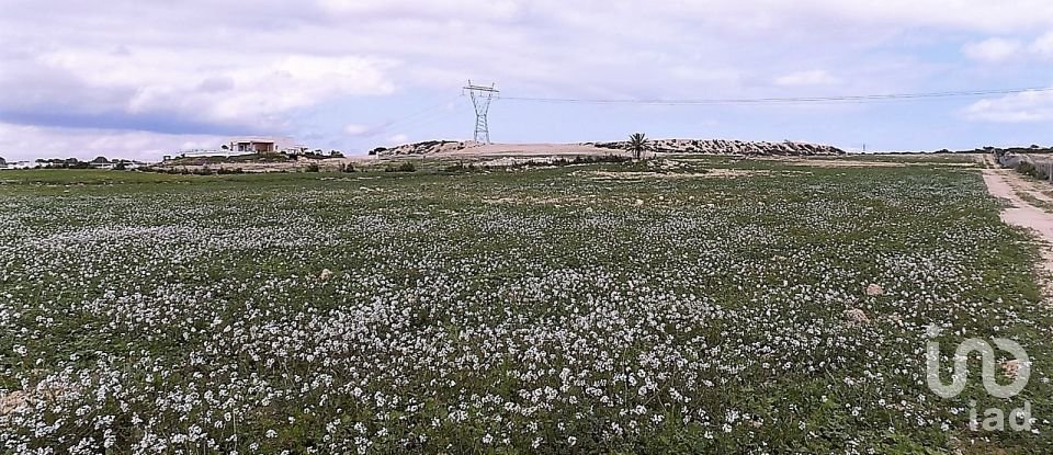 Terreny de 10.000 m² a Elx/Elche (03294)