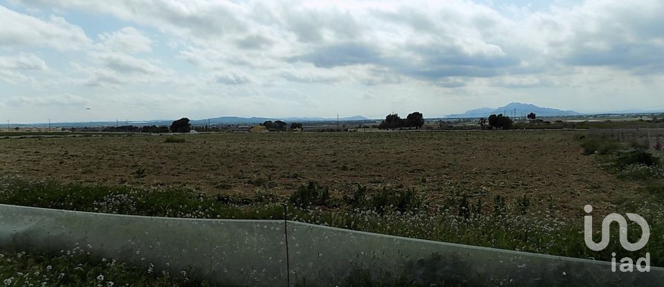 Terreny de 10.000 m² a Elx/Elche (03294)