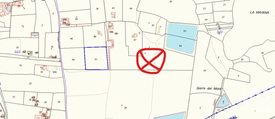 Terreny de 10.000 m² a Elx/Elche (03294)