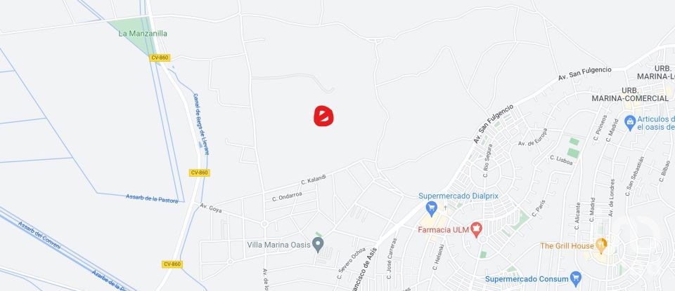 Terreny de 10.000 m² a Elx/Elche (03294)