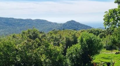 Chalet 4 habitaciones de 166 m² en Tarifa (11380)