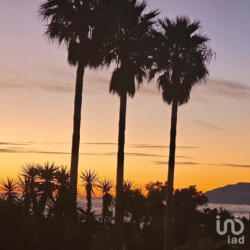 Cottage 4 bedrooms of 166 m² in Tarifa (11380)