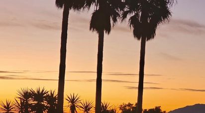 Chalet 4 habitaciones de 166 m² en Tarifa (11380)