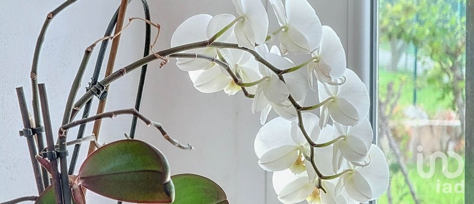 Cottage 4 bedrooms of 166 m² in Tarifa (11380)