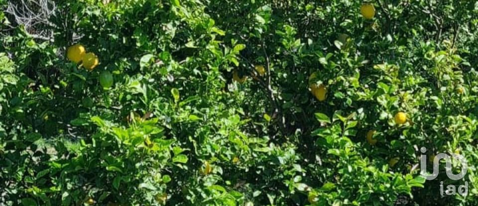 Cottage 4 bedrooms of 166 m² in Tarifa (11380)