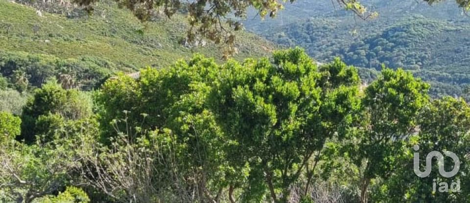 Cottage 4 bedrooms of 166 m² in Tarifa (11380)