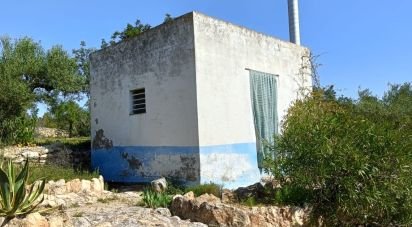 Land of 6,700 m² in L'Ametlla de Mar (43860)