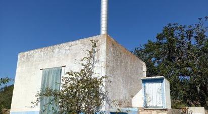 Terreno de 6.700 m² en L'Ametlla de Mar (43860)