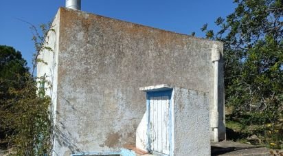 Terreno de 6.700 m² en L'Ametlla de Mar (43860)