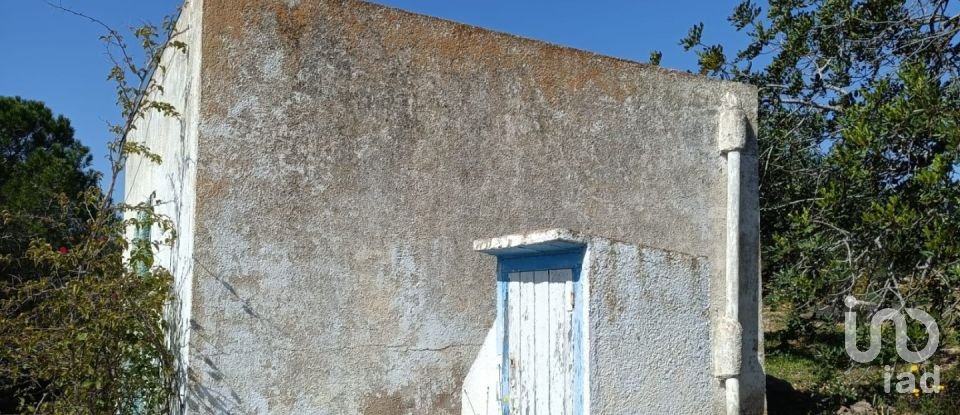 Terreny de 6.700 m² a L'Ametlla de Mar (43860)