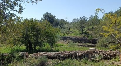 Terreno de 6.700 m² en L'Ametlla de Mar (43860)