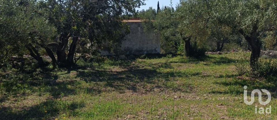 Terreny de 6.700 m² a L'Ametlla de Mar (43860)