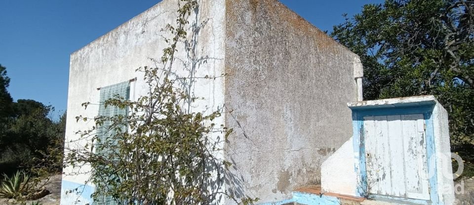 Terreny de 6.700 m² a L'Ametlla de Mar (43860)