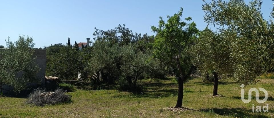 Terreny de 6.700 m² a L'Ametlla de Mar (43860)