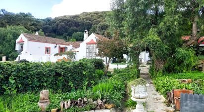 Hisenda / Cortijo 6 habitacions de 457 m² a Tarifa (11380)