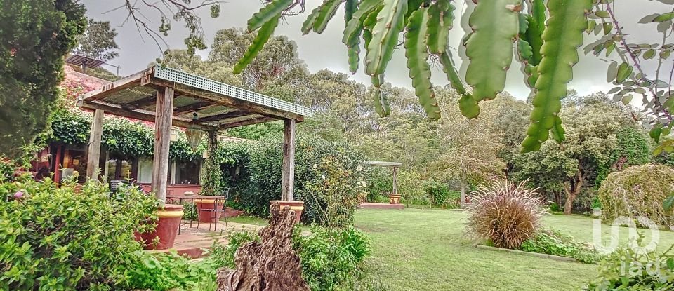 Hisenda / Cortijo 6 habitacions de 457 m² a Tarifa (11380)