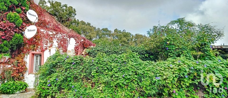 Hisenda / Cortijo 6 habitacions de 457 m² a Tarifa (11380)