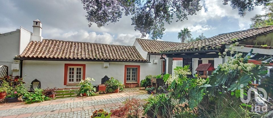 Hisenda / Cortijo 6 habitacions de 457 m² a Tarifa (11380)