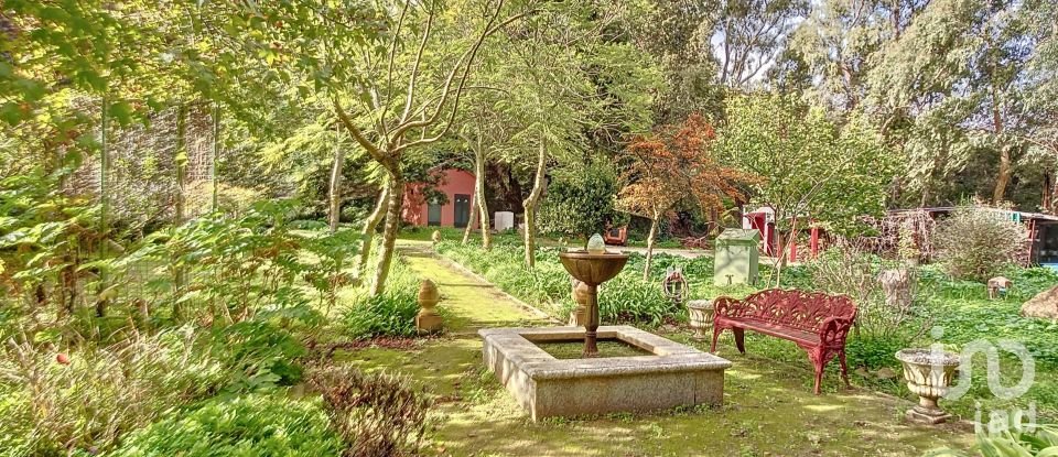 Hisenda / Cortijo 6 habitacions de 457 m² a Tarifa (11380)