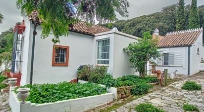 Hisenda / Cortijo 6 habitacions de 457 m² a Tarifa (11380)