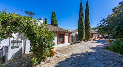 Hisenda / Cortijo 6 habitacions de 457 m² a Tarifa (11380)