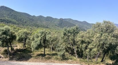 Apartment in house  0 bedrooms of 430 m² in Artana (12527)