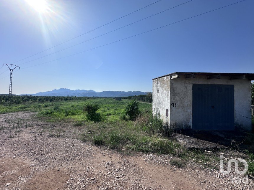 Terreny agrícola de 6.648 m² a Pego (03780)