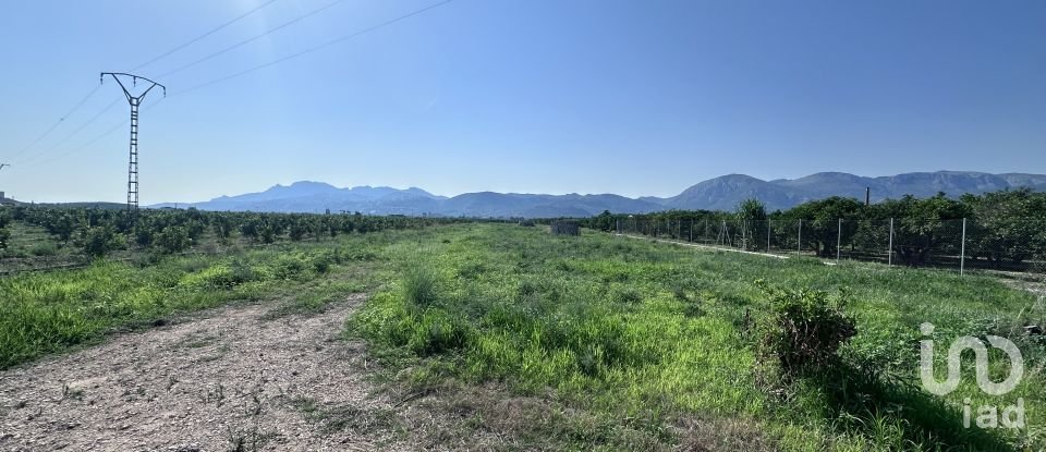 Terreny agrícola de 6.648 m² a Pego (03780)