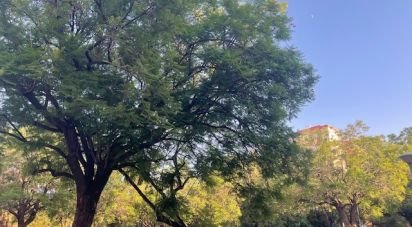 Apartment 3 bedrooms of 75 m² in Sevilla (41013)